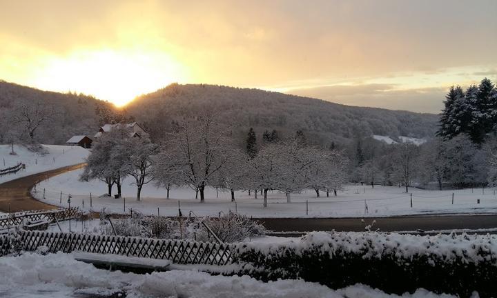 Landgasthof Gruner Baum